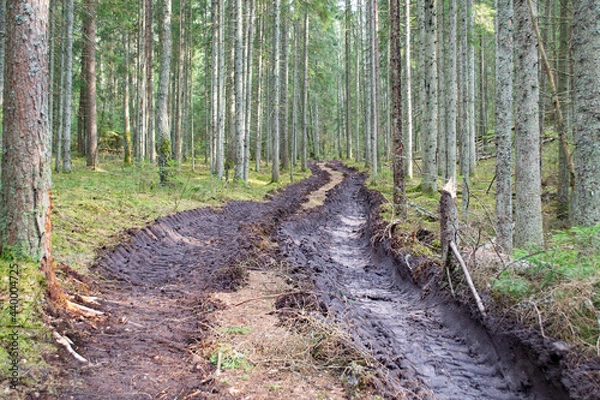 Fototapeta Deforestation and logging, forest clearing, timber removal. Big truck tractor or bulldozer loader tires wheel in forest. Human impact on the environment.