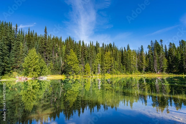 Fototapeta Palisades Lake Trail At Mount Rainier National Park