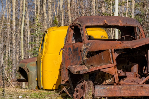 Fototapeta Rusty abandoned old trucks in vintage themed shot with boreal forest in background. Taken in Yukon, Canada. 