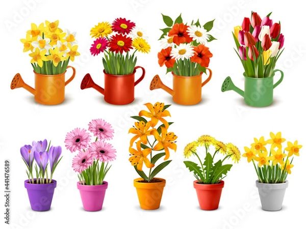 Fototapeta Mega collection of spring and summer colorful flowers in pots,  watering cans and vases. Vector