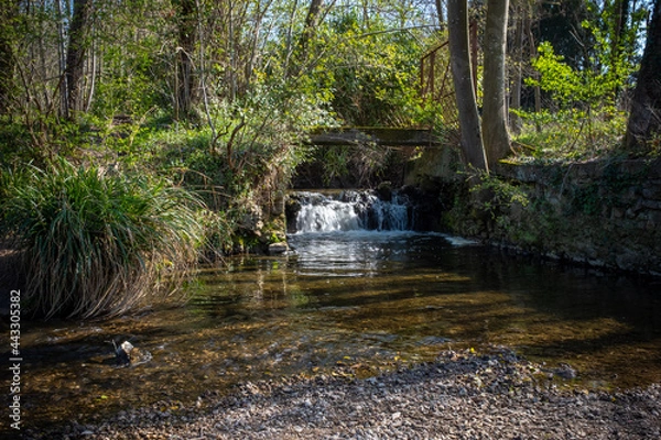 Fototapeta Small water fall in a forest setting