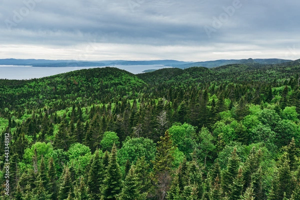 Fototapeta View on the green mountains of Gaspesie from Mont St Alban in Forillon National Park (Quebec, Canada)