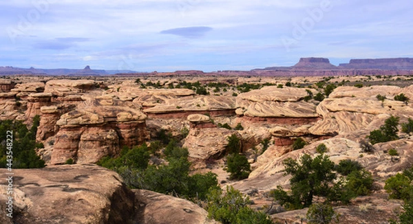 Fototapeta dramatically eroded rock formations and buttes in spring canyon along teh slickrock foot  trail in the needles district of  canyonlands national park, near moab, utah 