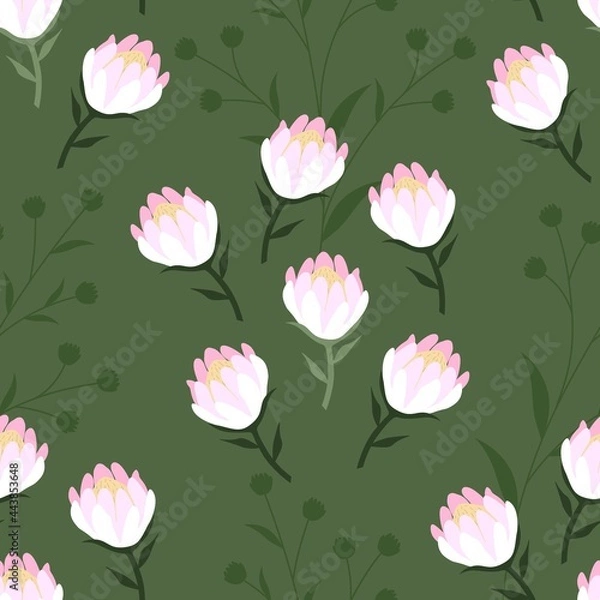 Fototapeta Seamless vector pattern with colorful protea flowers on a green background