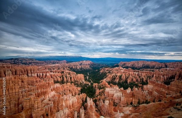 Fototapeta Bryce National Park