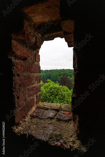 Fototapeta View from the castle tower in Lagow, Poland