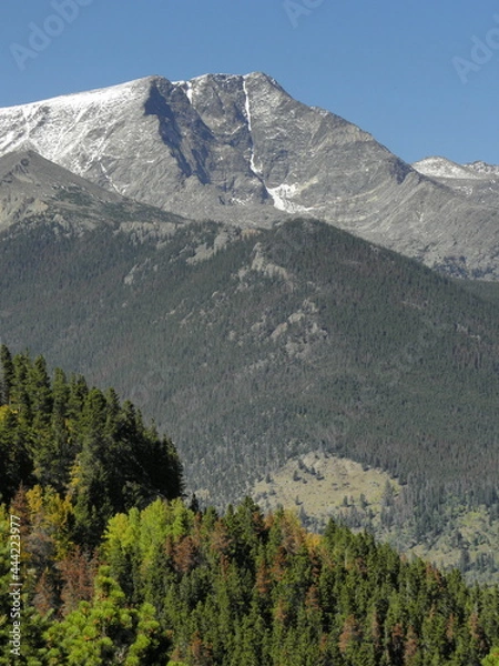 Fototapeta mount chiquita and forests on a sunny fall day along trail ridge road in rocky mountain national park, near estes park,  colorado