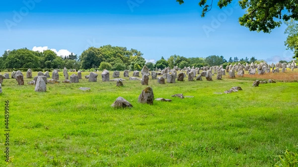 Fototapeta Carnac in Brittany, stones field, alignment of menhirs
