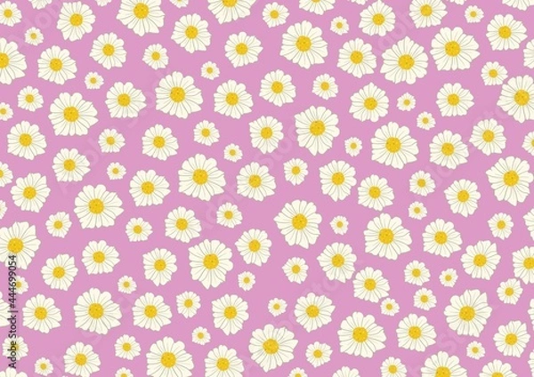 Fototapeta Pattern White small daisies on a delicate purple background. Spring flowers.