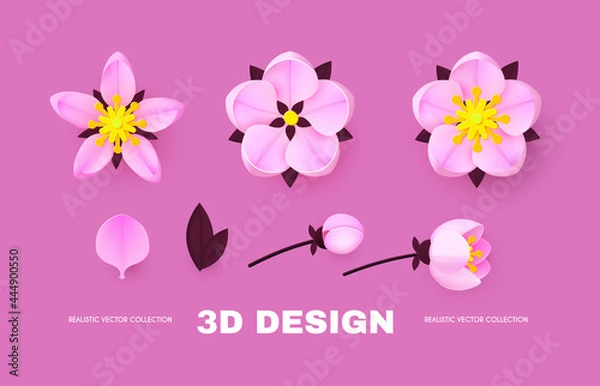 Fototapeta Paper flower set with buds, leaves and petals. Blossom design.