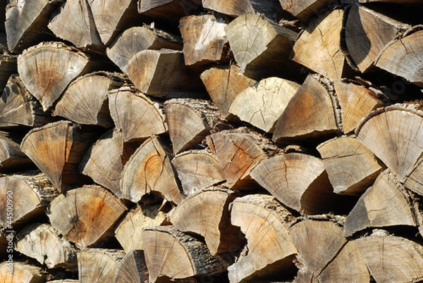 Fototapeta Old stacked weathered firewood in countryside closeup