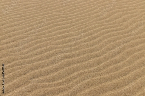 Fototapeta Beautiful Ripple marks on droughty Sand Dunes in Desert Area (sand waves). In geology, ripple marks are sedimentary structures and indicate agitation by water (current or waves) or, wind