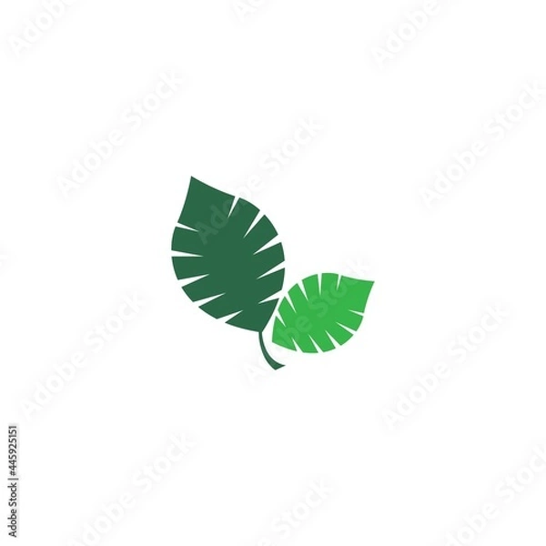 Fototapeta Green leaf, natural leaf icon logo design template