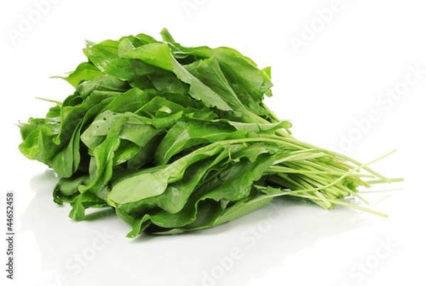 Fototapeta Fresh sorrel isolated on white