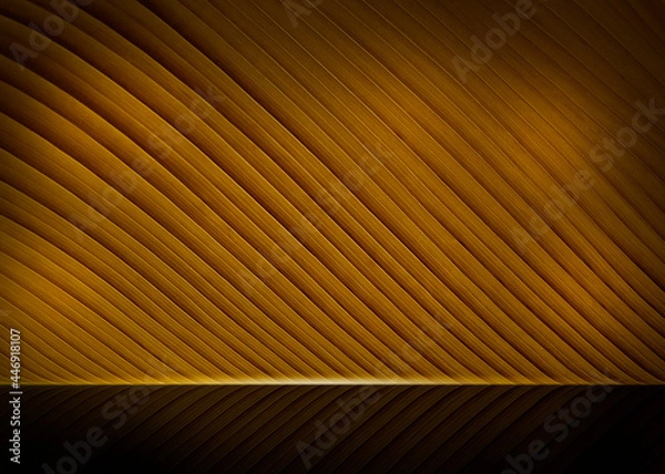 Fototapeta gold background for luxury product