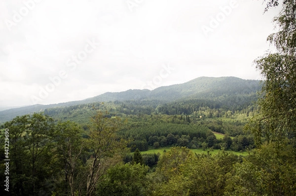 Fototapeta Panorama gór we mgle