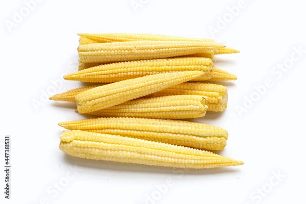 Fototapeta Baby corn on white background