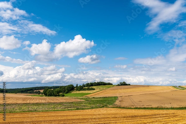 Fototapeta landscape with field and blue sky