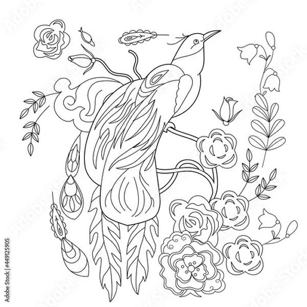 Fototapeta Tropical fancy bird. Black and white picture. Contour linear illustration for coloring book with paradise birds. Line art design for adult or kids  in zentangle style and coloring page.