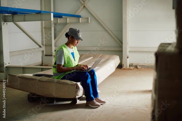 Fototapeta African American female warehouse worker uses laptop in storage room.