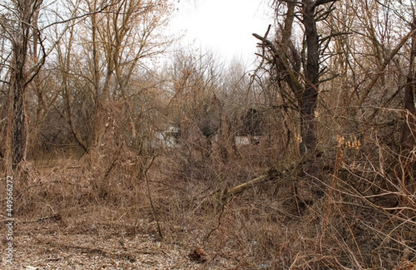 Fototapeta Pripyat is an exclusion zone after Black Andbult nuclear disaster at the nuclear power plant.