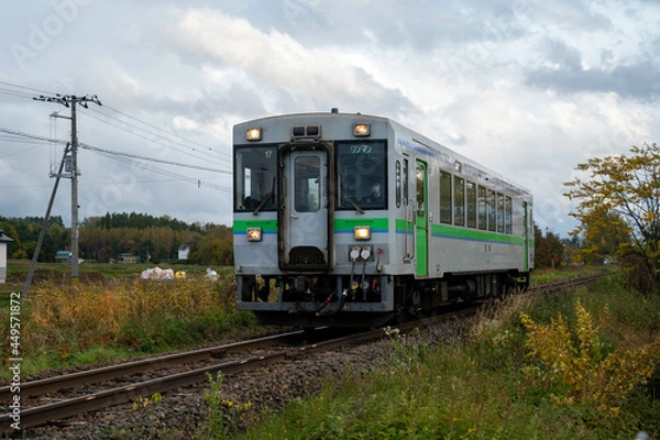 Fototapeta 北海道の電車