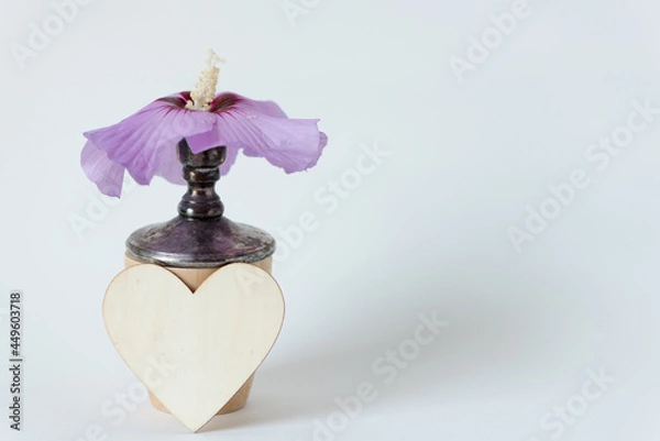 Fototapeta pink or violet hibiscus flower in a tarnished candle stick holder with a plain wood heart