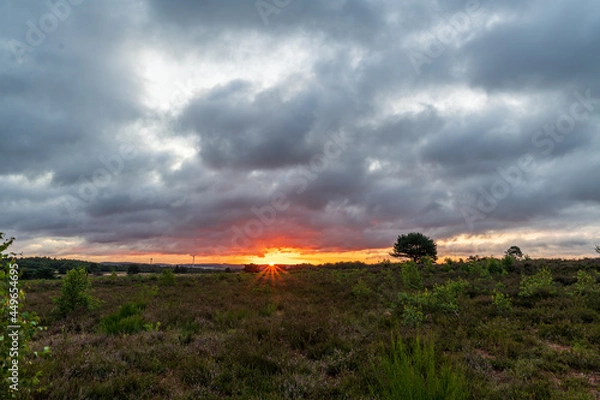 Fototapeta sunrise