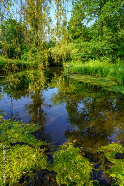 Fototapeta Paysage campagne 1006