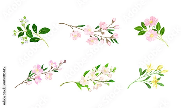 Obraz Bloomy Flower Branches with Tender Florets Vector Set