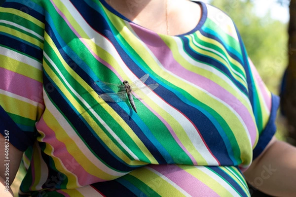 Fototapeta a dragonfly sits on the breast of a pregnant young woman