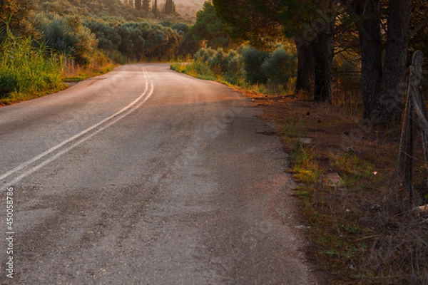 Fototapeta autumn country side road park outdoor landscape photography in orange colors light from sunset