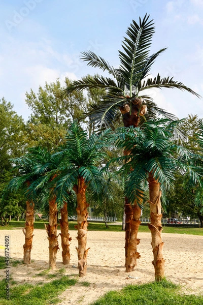 Fototapeta Artificial palm trees on the beach.