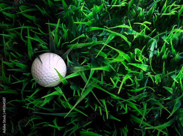 Obraz golf ball on green grass