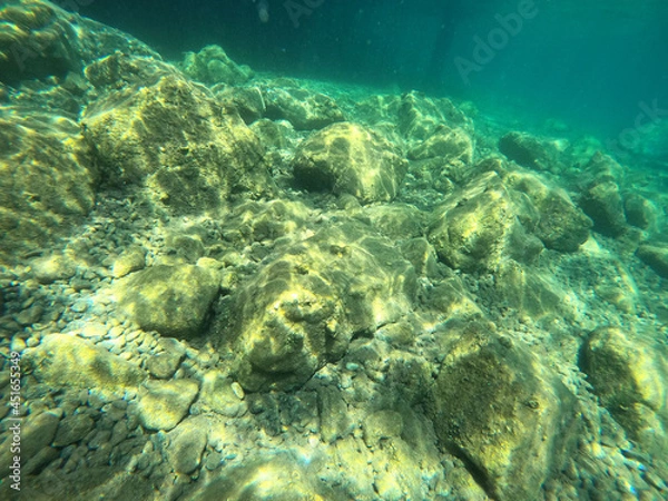 Fototapeta Underwater world of Mediterranean Sea. Near Marmaris, Turkey