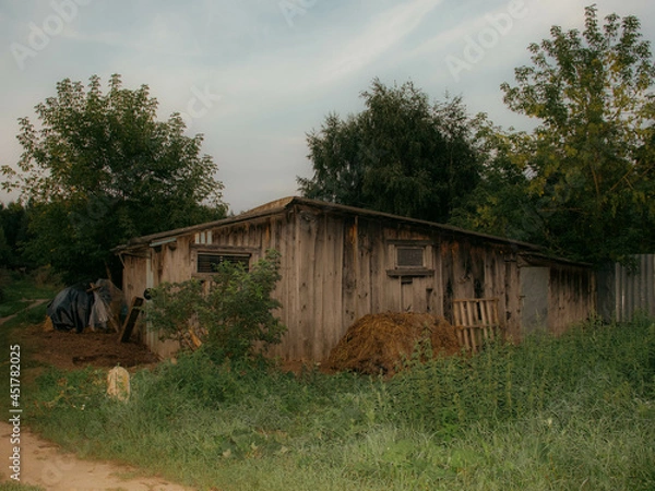 Fototapeta Countryside living