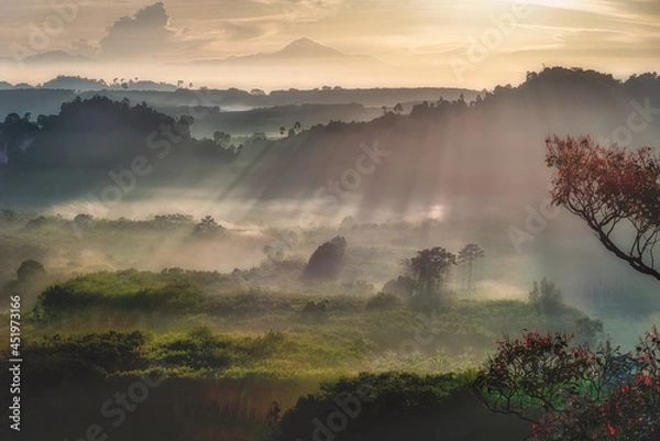 Fototapeta Beautiful scenery mountain view with forest during sunrise time. Taken at Thamma Park (Ban Khao Na Nai), Phanom District in Surat Thani in Thailand.