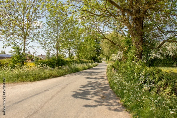 Fototapeta Road in the park