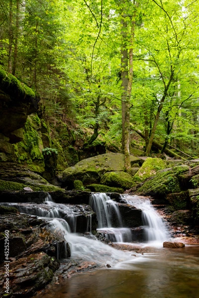 Fototapeta Wasserfall Bad Liebenzell Monbach Schlucht Baden-Württemberg Deutschland Canyon Idyll Naturschutzgebiet Wald Bach Schwarzwald Pforzheim Calw Kaskade Sommer Regen Wanderung Langzeitbelichtung