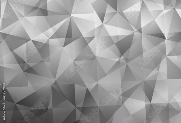 Fototapeta Light Gray vector low poly background.