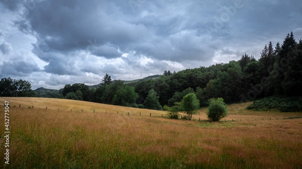 Fototapeta Champ de Pradines-vieille, Corrèze