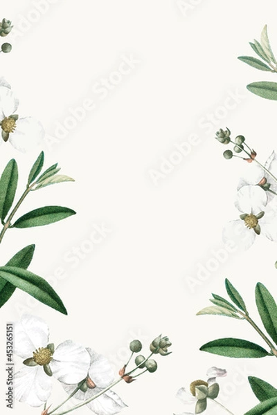 Fototapeta White flower on a beige background template