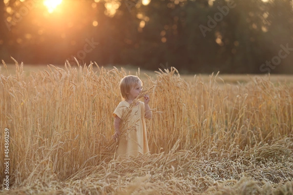 Fototapeta a girl in yellow clothes holds spikelets of wheat in her hands and sniffs them
