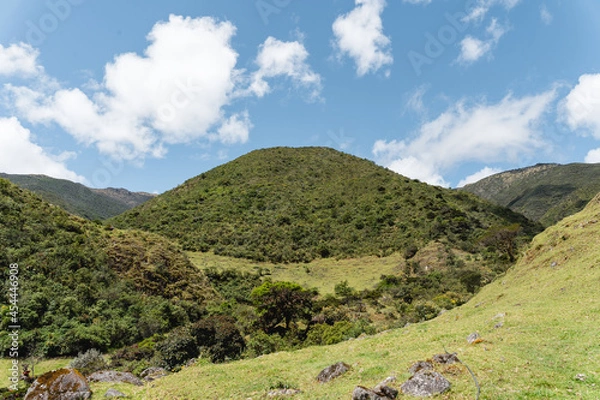 Fototapeta Typical mountain of the Andes, with a semi-clear and semi-cloudy sky, you can see rocks, plants, especially the straw grass that covers the hills.