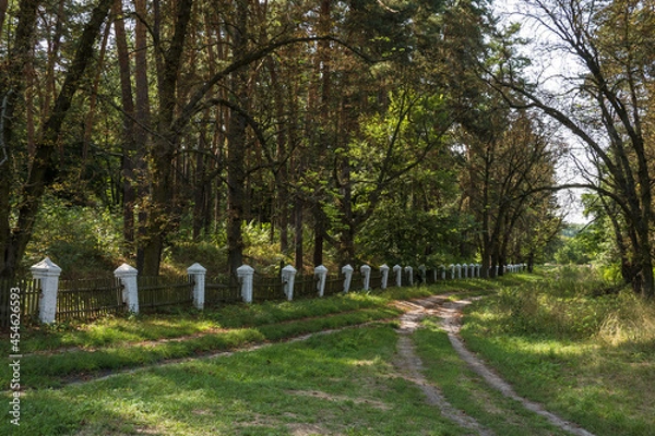 Fototapeta Country nature landscape