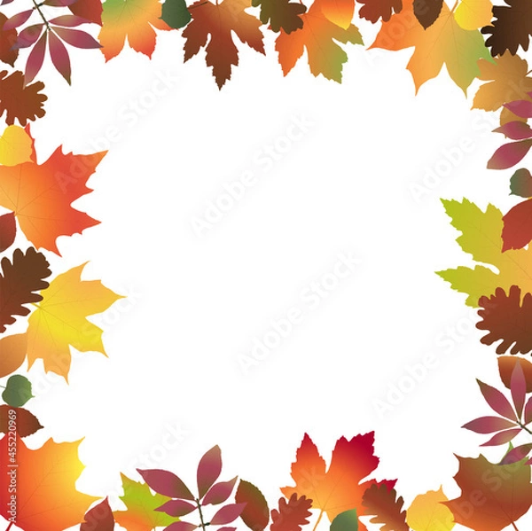 Fototapeta fall colored leaves frame background