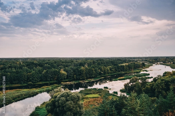 Fototapeta landscape with trees and river