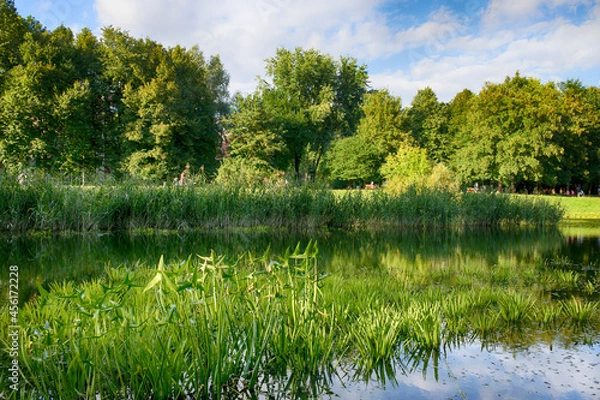 Fototapeta Beautiful lake in the city park in the autumn season