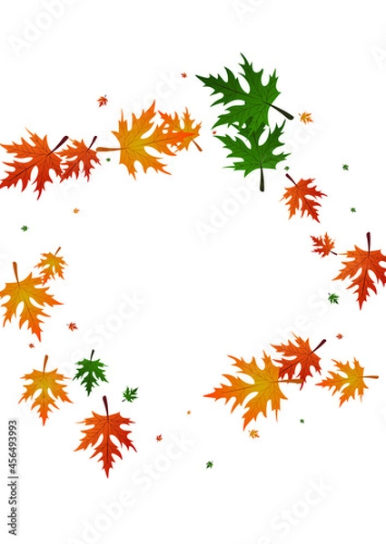 Fototapeta Red Leaves Background White Vector. Foliage Ground Design. Green Seasonal. Nature Texture. Brown Maple Design.