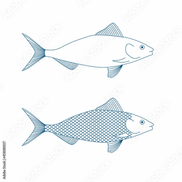 Fototapeta Herring fish vector isolated illustration. Outline blue illustration.